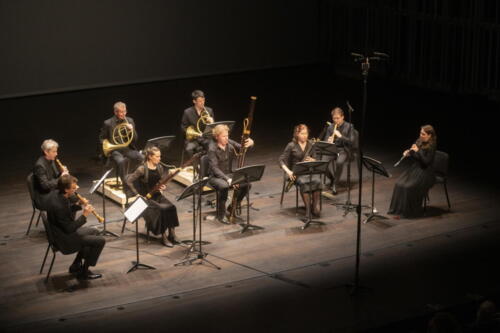 Op het programma van Anima Insight: Beethovens Zevende Symfonie in een arrangement voor negen blazers, ook wel Harmonie genoemd.